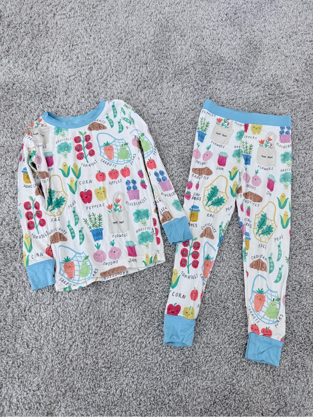 Little Sleepies Vegetable/Fruit Garden Long Sleeve Pajamas 2T